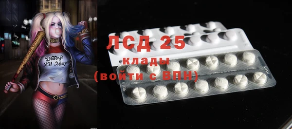 стаф Алексин
