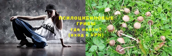 стаф Алексин