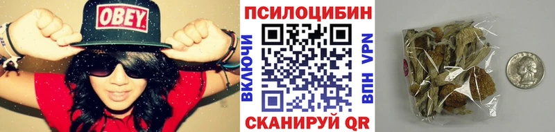 Галлюциногенные грибы MAGIC MUSHROOMS  наркотики  Чердынь 